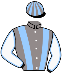 Casaque du n°4 — LINO