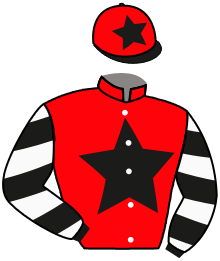 Casaque du n°4 — GAME CHARACTER