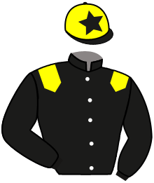 Casaque du n°4 — ROSBERG