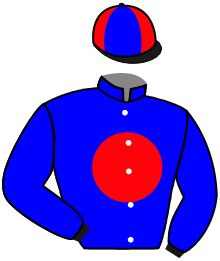 Casaque du n°15 — DESERT FALCON