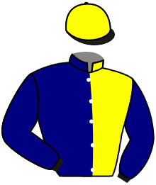 Casaque du n°9 — TREFOR