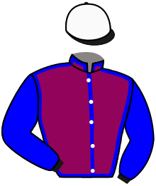 Casaque du n°16 — INSPIRED