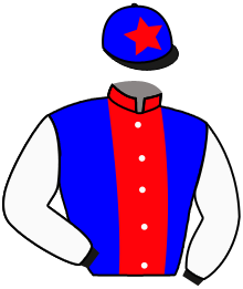 Casaque du n°9 — RIVER KING