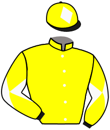 Casaque du n°11 — L L KOULSTY