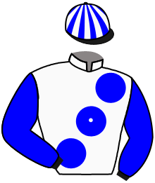 Casaque du n°17 — HOWD'YADOIT