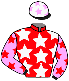 Casaque du n°21 — DARK VIPER