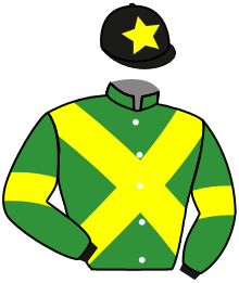 Casaque du n°4 — JESUS GREEN