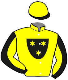 Casaque du n°7 — PIVOTAL ATTACK