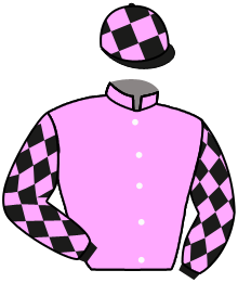 Casaque du n°2 — HOTAZHELL