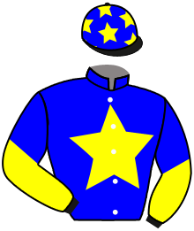 Casaque du n°11 — WESTMINSTER MOON