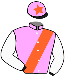 Casaque du n°16 — WYMAN