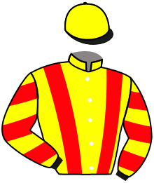 Casaque du n°21 — STAR HARBOUR