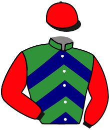 Casaque du n°1 — QUEBEC