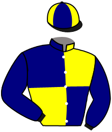 Casaque du n°16 — MARMELADOVA