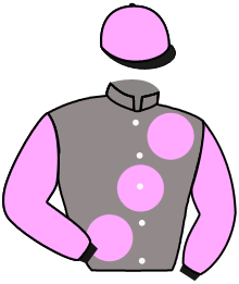 Casaque du n°19 — ANVIKA