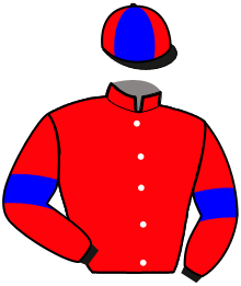 Casaque du n°11 — KIMONO JULRY