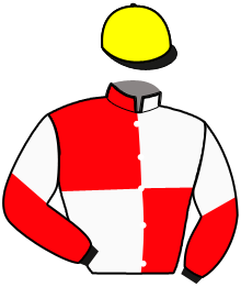 Casaque du n°18 — LINO DE FONTAINE