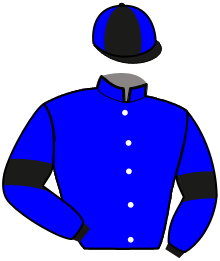 Casaque du n°10 — KALKO D'OURVILLE