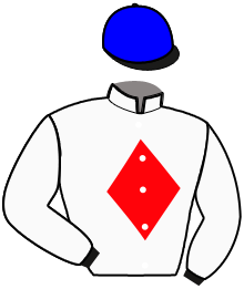 Casaque du n°3 — KERBEROS