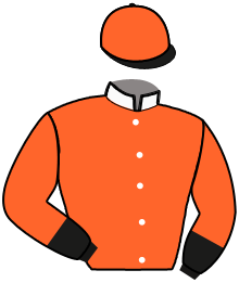 Casaque du n°1 — BRANDY SIMONI