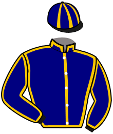 Casaque du n°6 — SOUTH CAROLINA AS