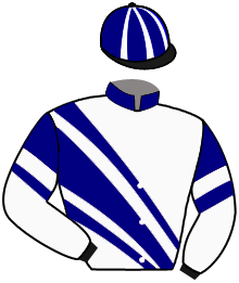 Casaque du n°2 — LADY D'ARBANVILLE