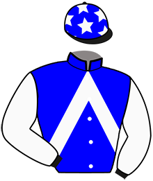 Casaque du n°2 — NICO DU TOULAY