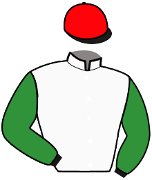 Casaque du n°3 — SILVER BULLIT(SWE)