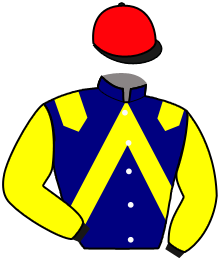 Casaque du n°3 — JETSTAR DE VRIE