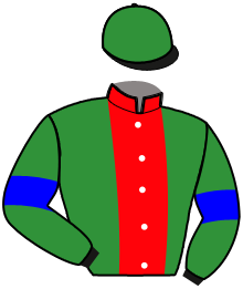 Casaque du n°4 — MAGNUS SEN
