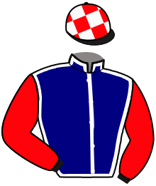 Casaque du n°6 — MALKER D'ALOUETTE