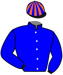 Casaque du n°13 — NEO DE JOUDES