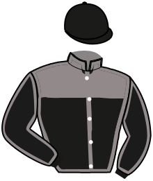 Casaque du n°7 — GINO VIVA