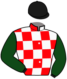 Casaque du n°13 — DENIA