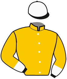 Casaque du n°2 — DILVA JET