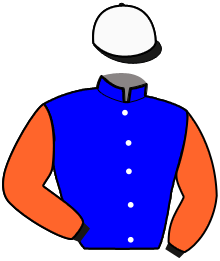 Casaque du n°5 — SEVEALLISTO