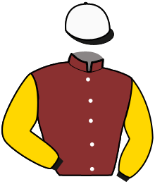 Casaque du n°10 — ARI FERRARI J