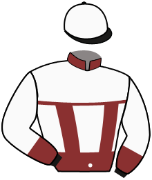 Casaque du n°4 — SIR PINOCCHIO