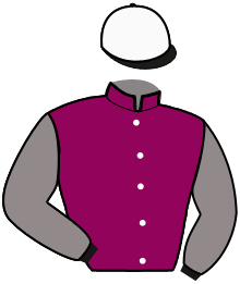 Casaque du n°9 — BENJAMIN HANOVER