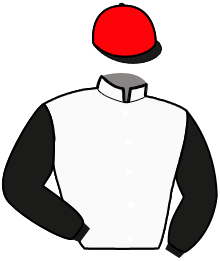 Casaque du n°2 — GIO CASH