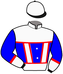 Casaque du n°4 — BOURBONISTA