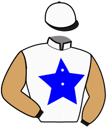 Casaque du n°9 — BELGIQUE (SWE)