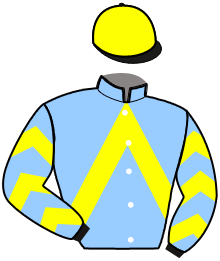 Casaque du n°11 — NILTON