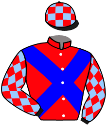 Casaque du n°11 — STRIKE RED