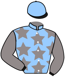 Casaque du n°11 — THE WINDHOVER