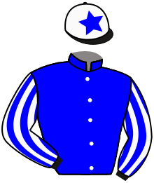 Casaque du n°7 — STAR OF STATE