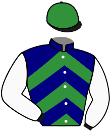 Casaque du n°9 — LORD RAGNAR