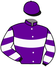 Casaque du n°2 — BALLINEA STAR