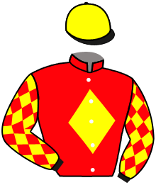 Casaque du n°14 — GAZELLE D'OR