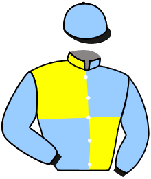 Casaque du n°9 — RUMSTAR
